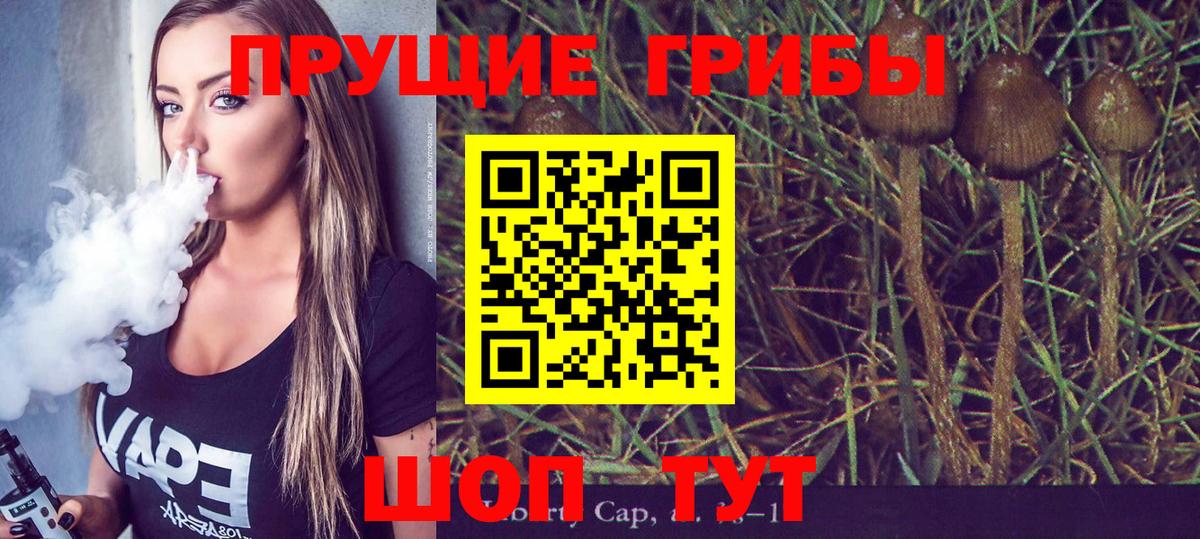 Псилоцибиновые грибы Magic Shrooms Печора